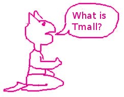 Trang web Tmall là gì?